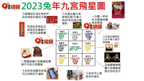 2023風水佈局麥玲玲|兔年桃花運麥玲玲教催旺大法2023 想脫單種何植物？。